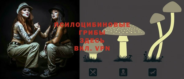 МДПВ Новозыбков