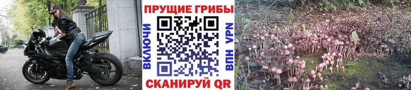 Галлюциногенные грибы Cubensis  Серафимович 